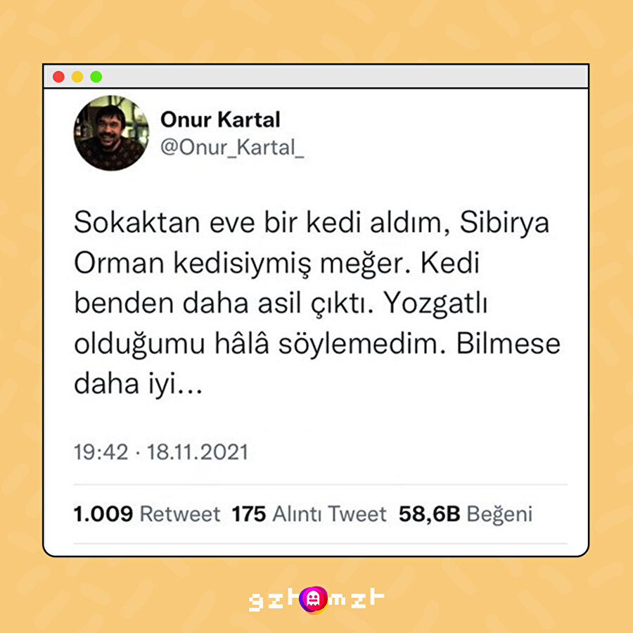 Sokaktan da kedi alınmaz bu devirde...
