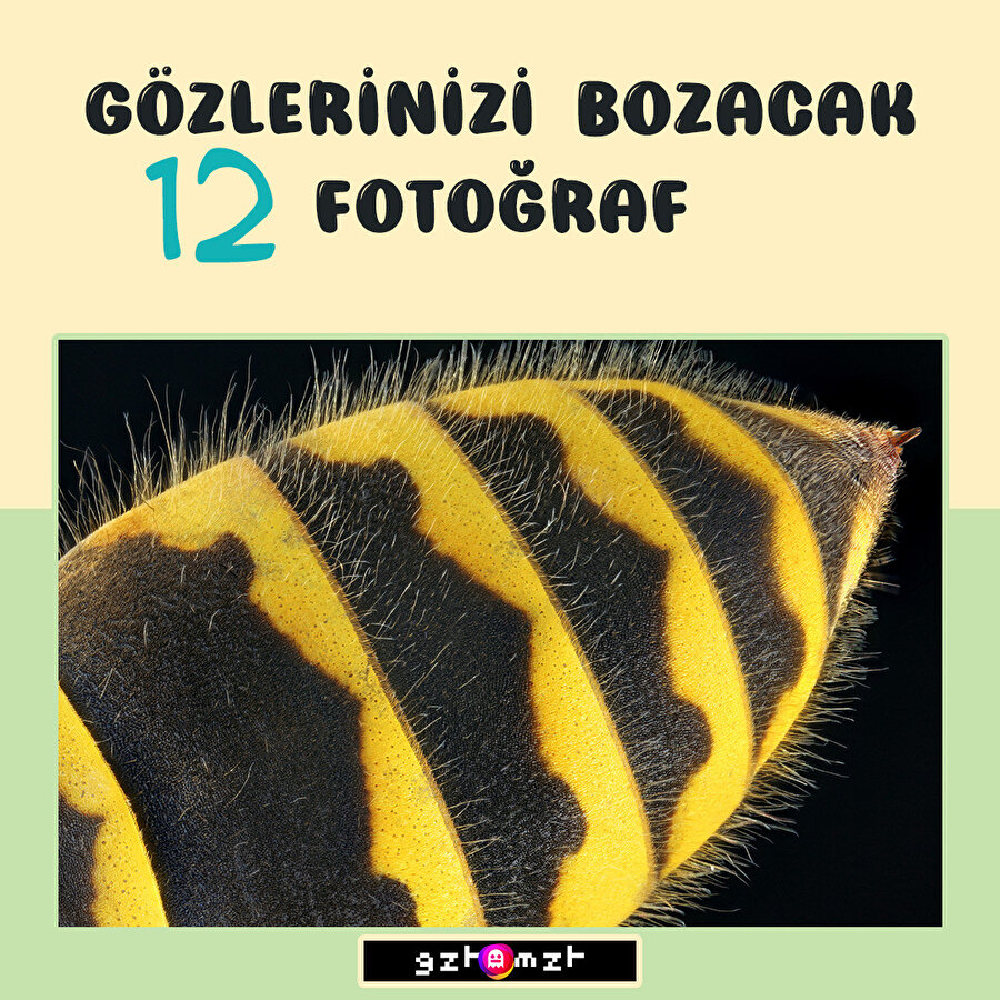 ​Yakından bakmayın gözleriniz bozulur