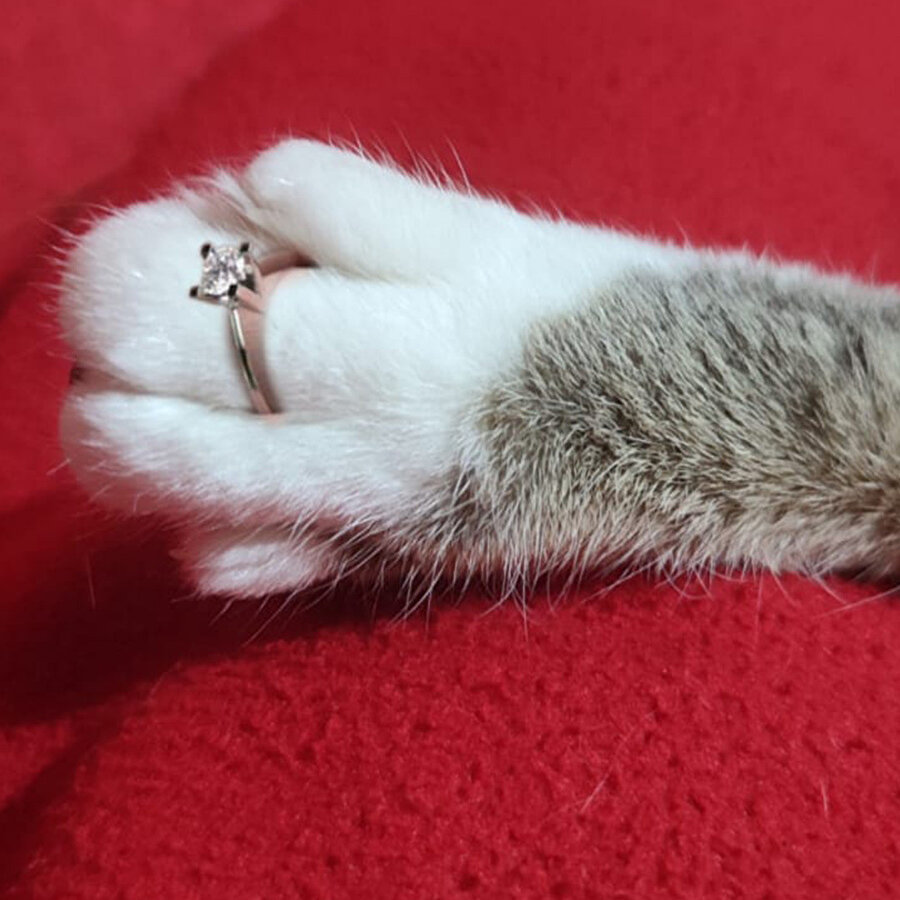 Tek taşımı kedim aldım, tek başıma kendim çaldım girmesinler havaya