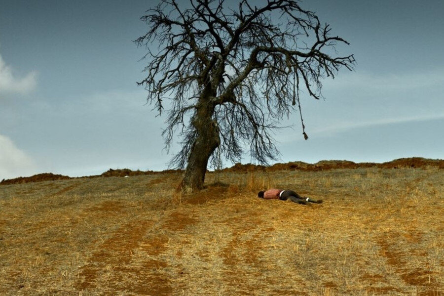 Evet, artık görüntülü roman diye bir şeyin varlığından bahsedebiliriz; mucidi de Nuri Bilge Ceylan. 