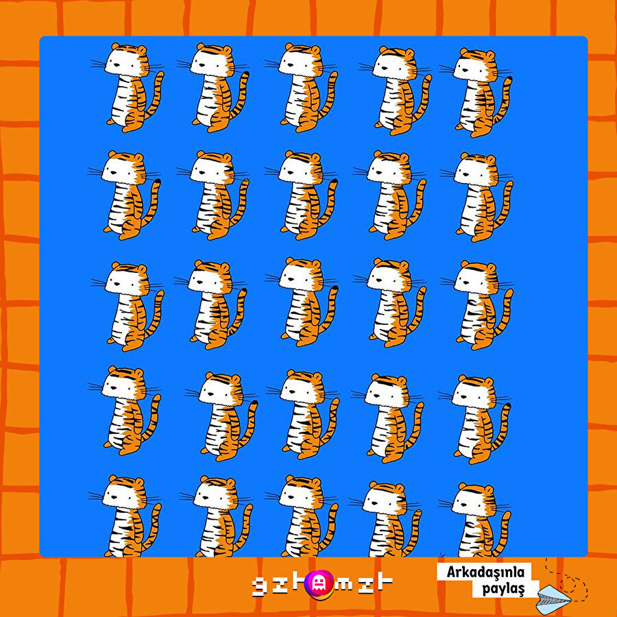 Bütün kaplanlar özeldir