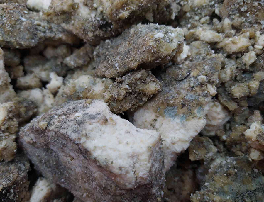 Kanuni Sultan Süleyman ordusuna yediriyordu: Faydaları saymakla bitmiyor, adeta penisilin