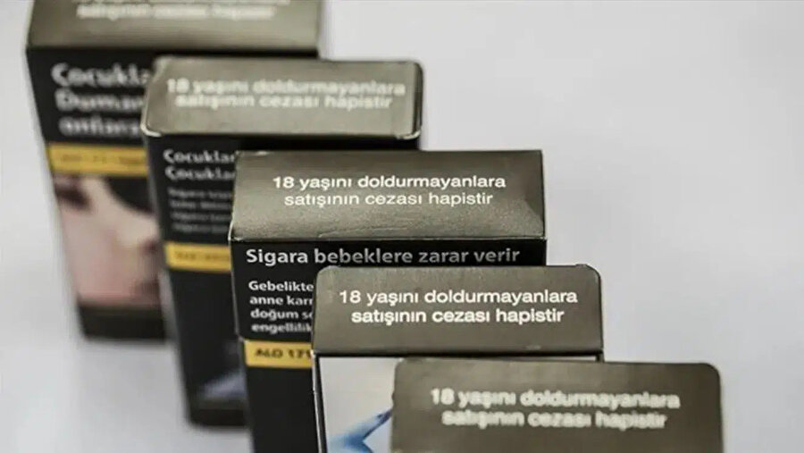 Arşiv