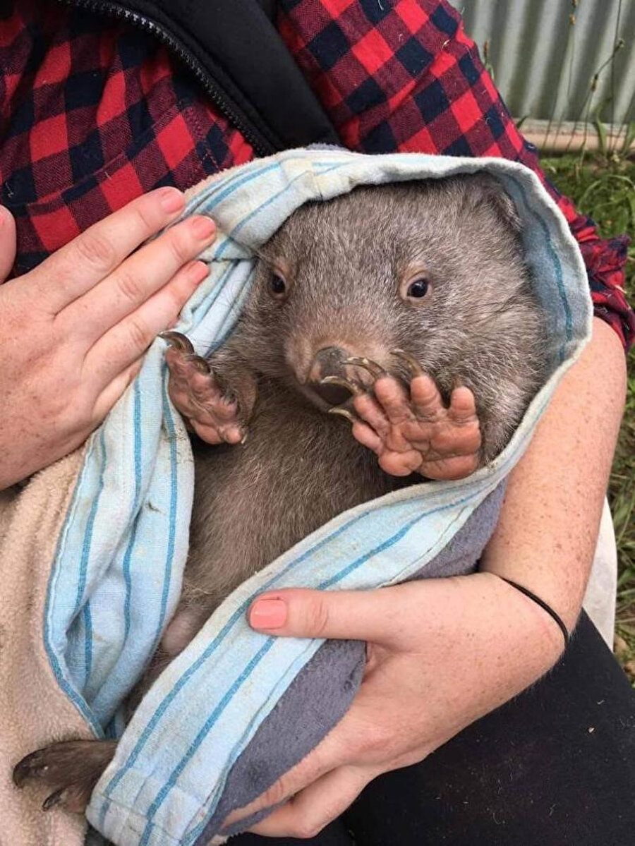 Tezahürata gerek yok...