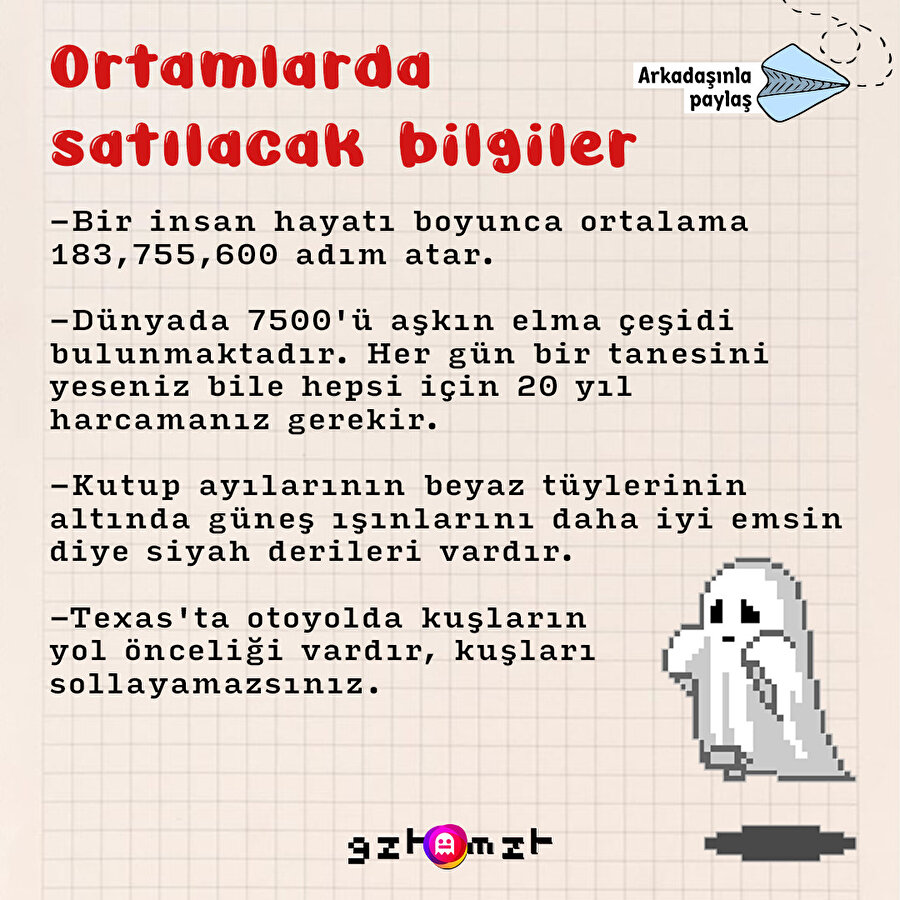 MZT bilgilendiriyor 📖