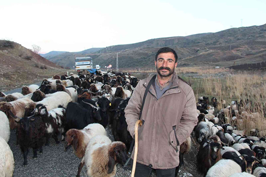 Siirt’te 10 bin lira maaşla çalışacak çoban bulamıyorlar