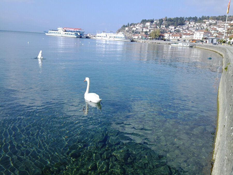 Kuğuların süzüldüğü Ohri gölü.