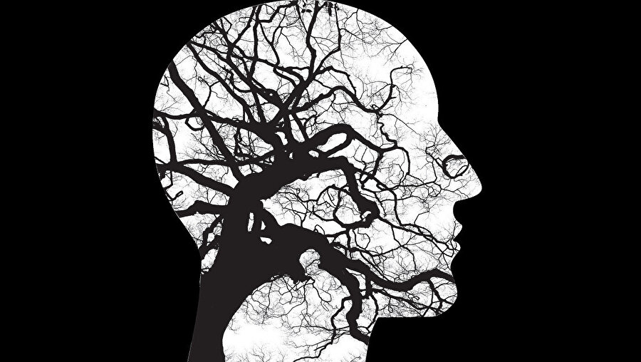 Arzunun şuuru-aklı-iradeyi çağıran; ruhu, benliği, özneyi belirginleştiren, farklılaştıran, bireyi üst aşamaya çeken yapısı, dijital tekno-kültür etkisindeki insanın ana çıkış kapısını oluşturuyor.