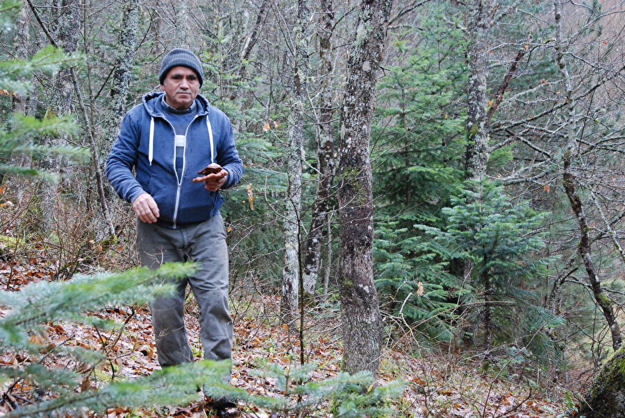 Emekli fotoğrafçı 'ölümsüzlük mantarı' buldu