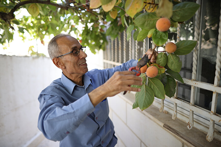 &quot;Babalarımız 1948'de tehcir edildi. Bizi de tehcir ederlerse bu ikinci Nekbe olur. Eğer çocuklarımı ve torunlarımı tehcir ederlerse bu da üçüncü Nekbe olur.&quot;