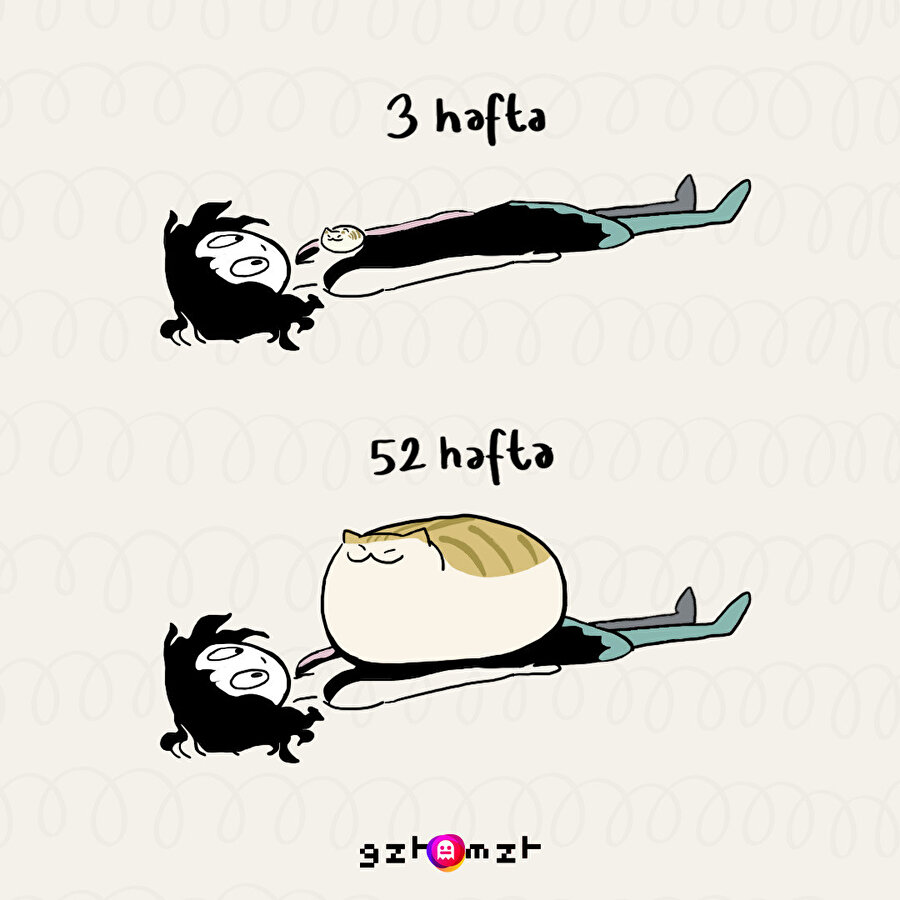 Kedi sahipleri bu durumu iyi bilir