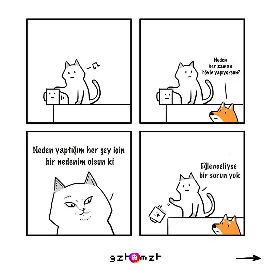 Kediler Vs Köpekler