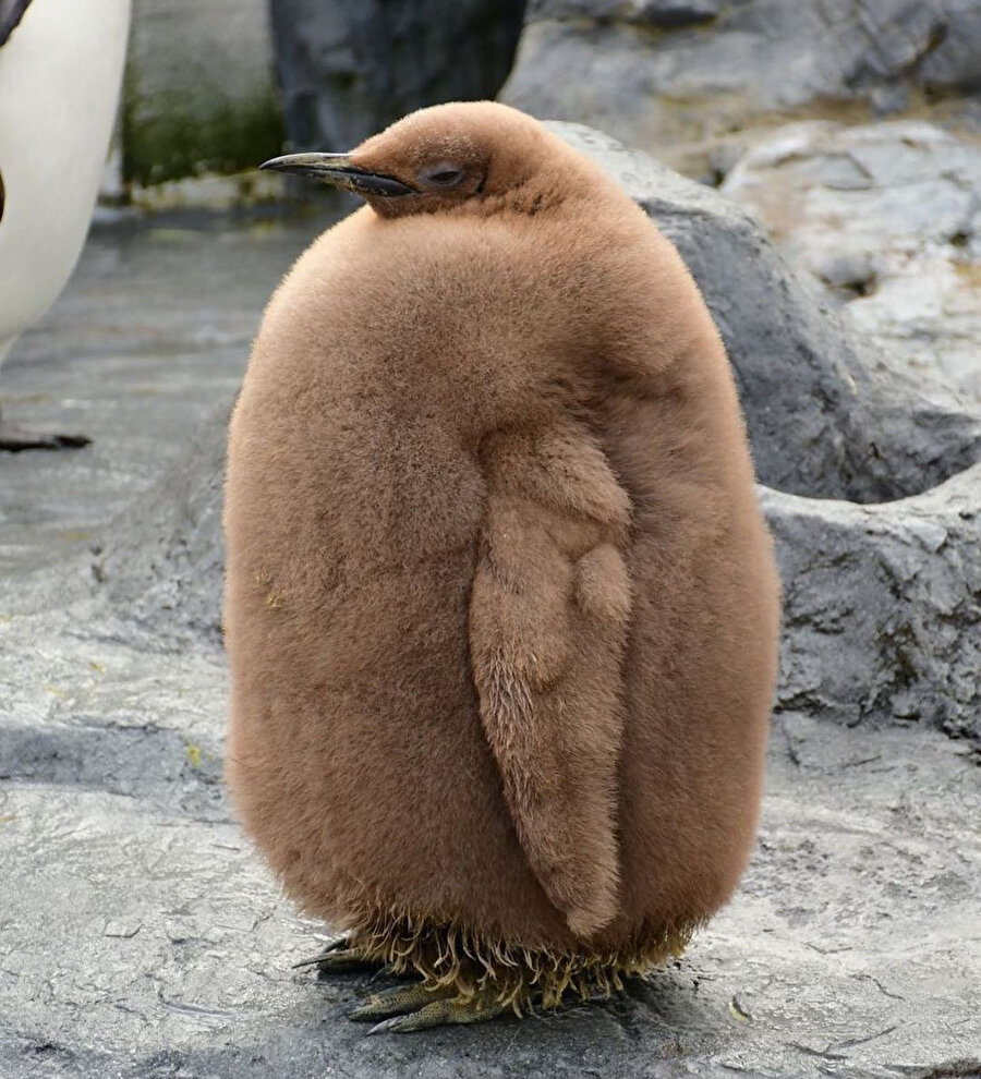 Soğuk havalarda biz (Temsili olmayabilir)