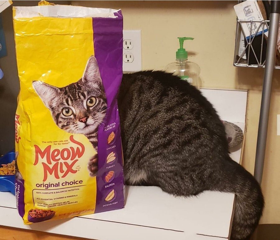 Bazı mükemmel denk gelişler