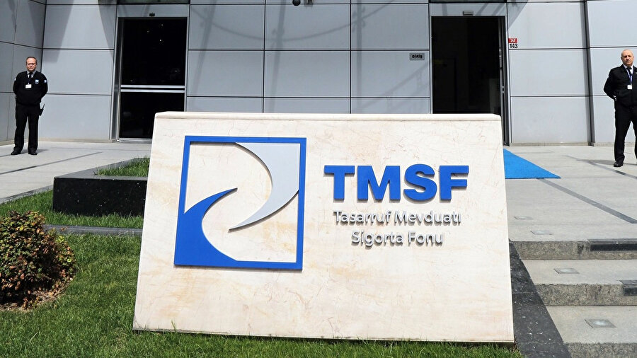 TMSF