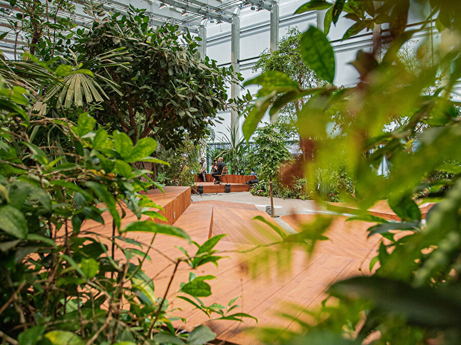 Exotic Workplace Garden’da yer alan bitkiler; Endonezya, Avustralya, Yeni Gine, Madagaskar ve Venezuela gibi tropikal amazon ormanlarından getiriliyor.