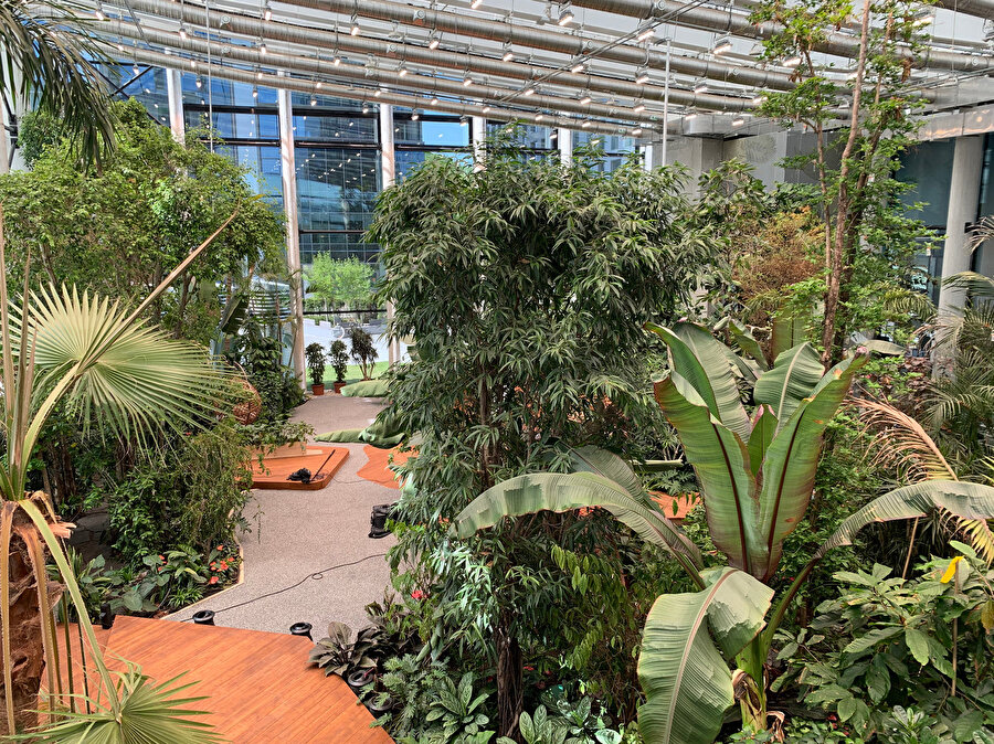  Exotic Workplace Garden’da insanın doğayla maksimum düzeyde temas etmesi amaçlanıyor.