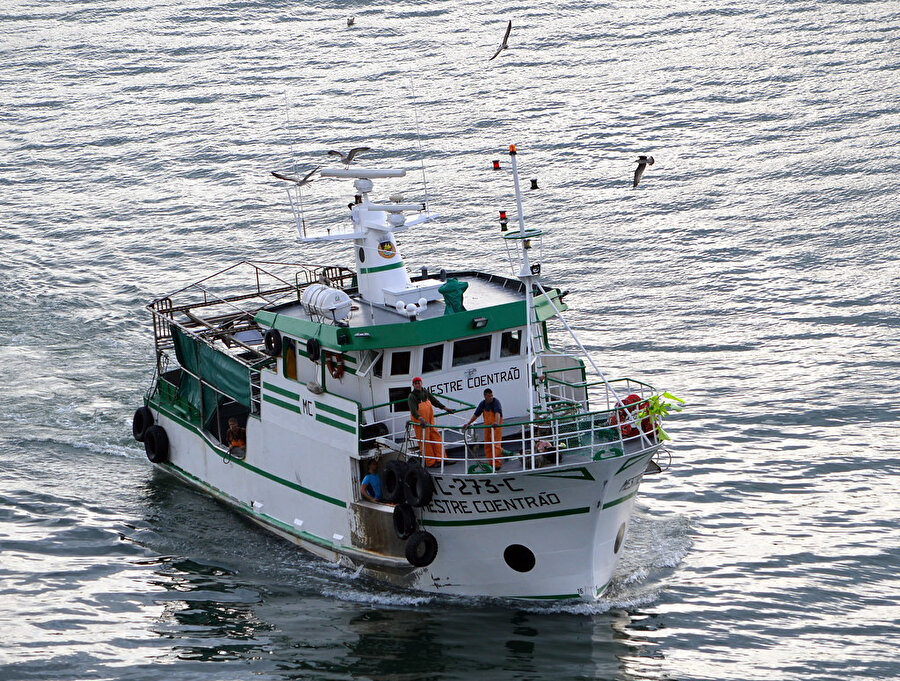Fabio Coentrao, futbolu bırakıp balıkçı oldu.