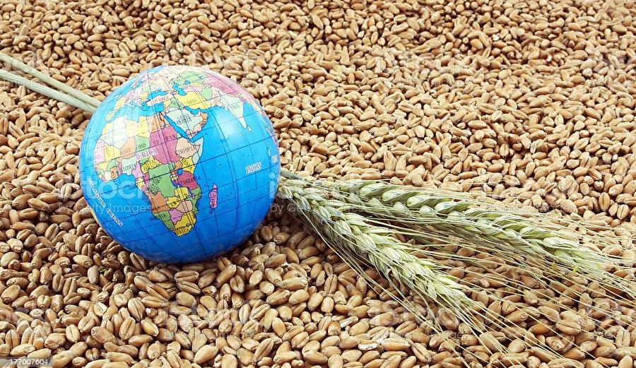 Küresel gıda
