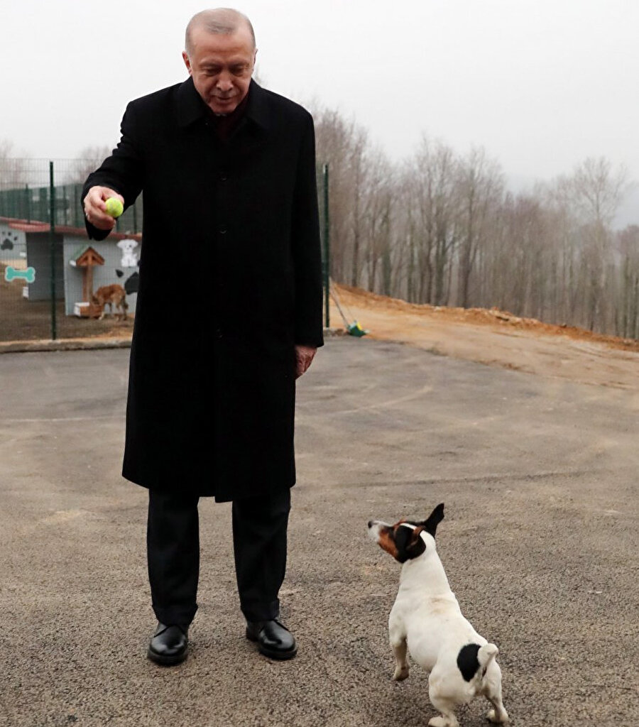 Cumhurbaşkanı Erdoğan ve Maylo'nun oyun oynadığı andan bir kare
