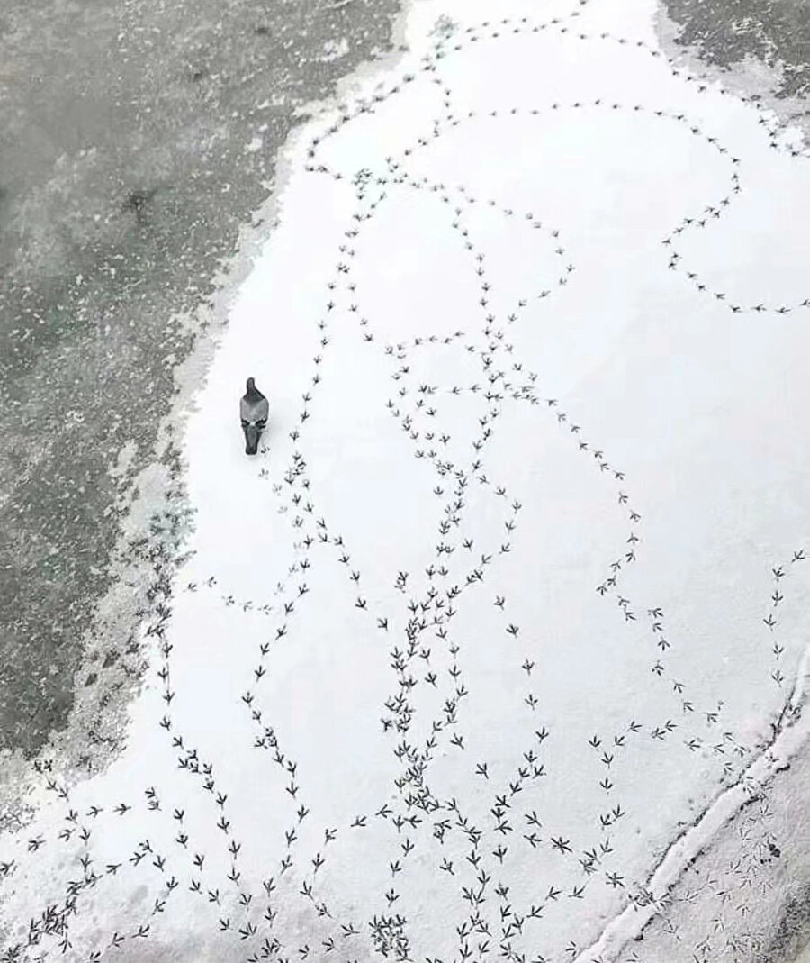 ​Telefonla konuşurken odanın içinde ben