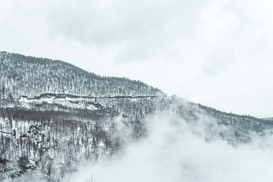 Kocaeli, Kartepe.