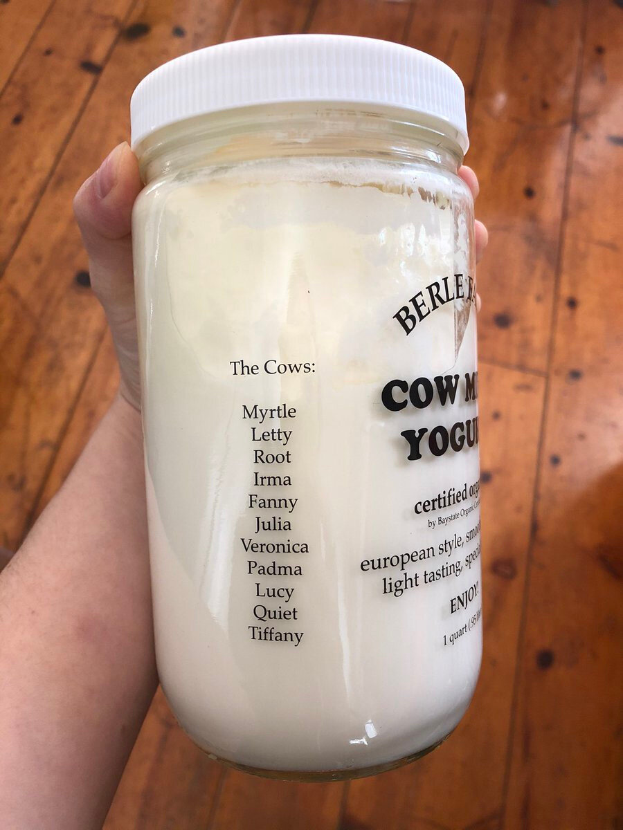 Yoğurdun üstüne süt veren ineklerin adı yazılmış