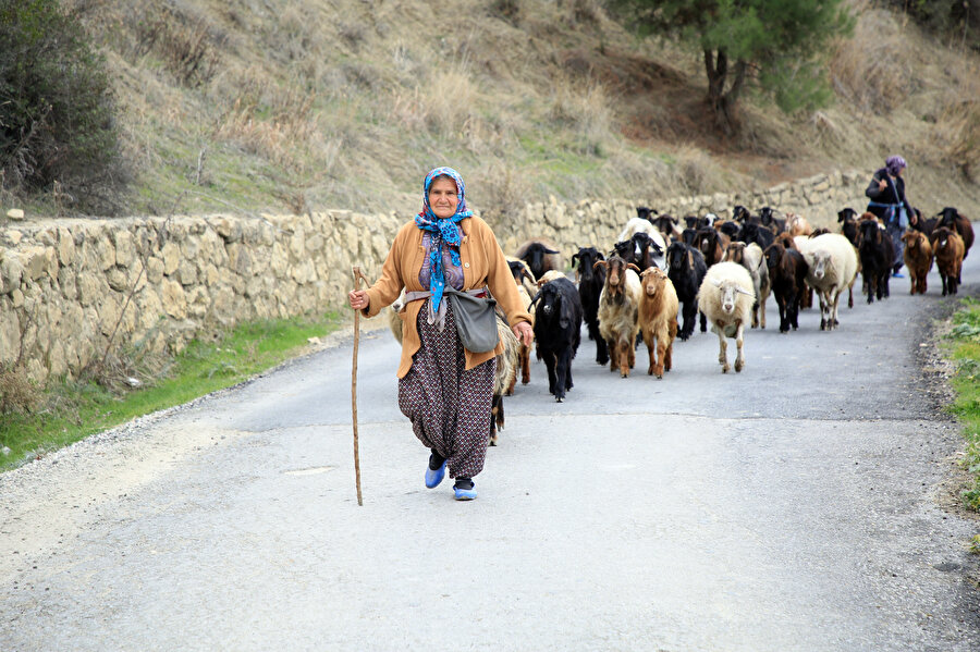 Toroslar'ın kadını: 65 yaşında çobanlık yapıyor