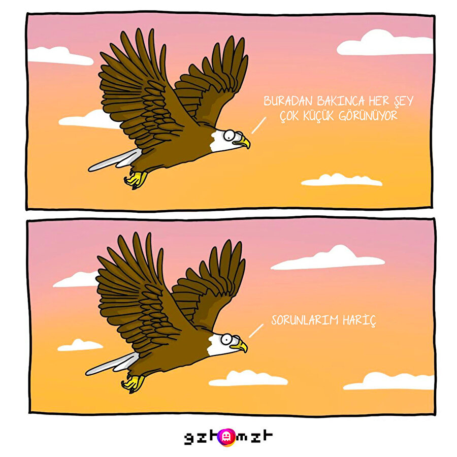 Şapşik misiniz siz 😻