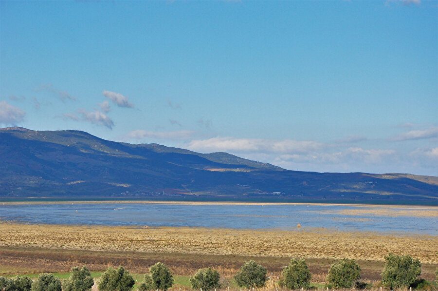 Yağmur umut oldu: Kuşların terk ettiği Marmara Gölü su tuttu