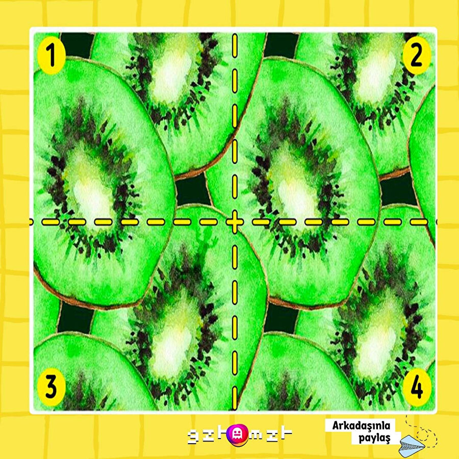 Kertenkelesini kaybeden var mı?​