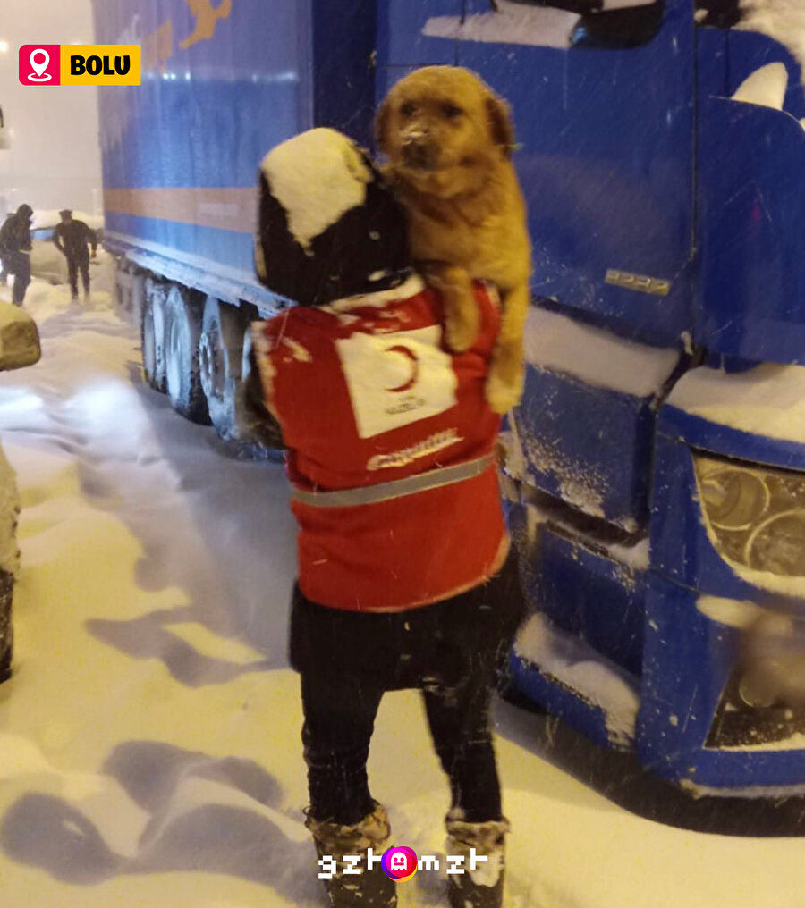 ​​İçimizi ısıtan görüntülerde bugün 