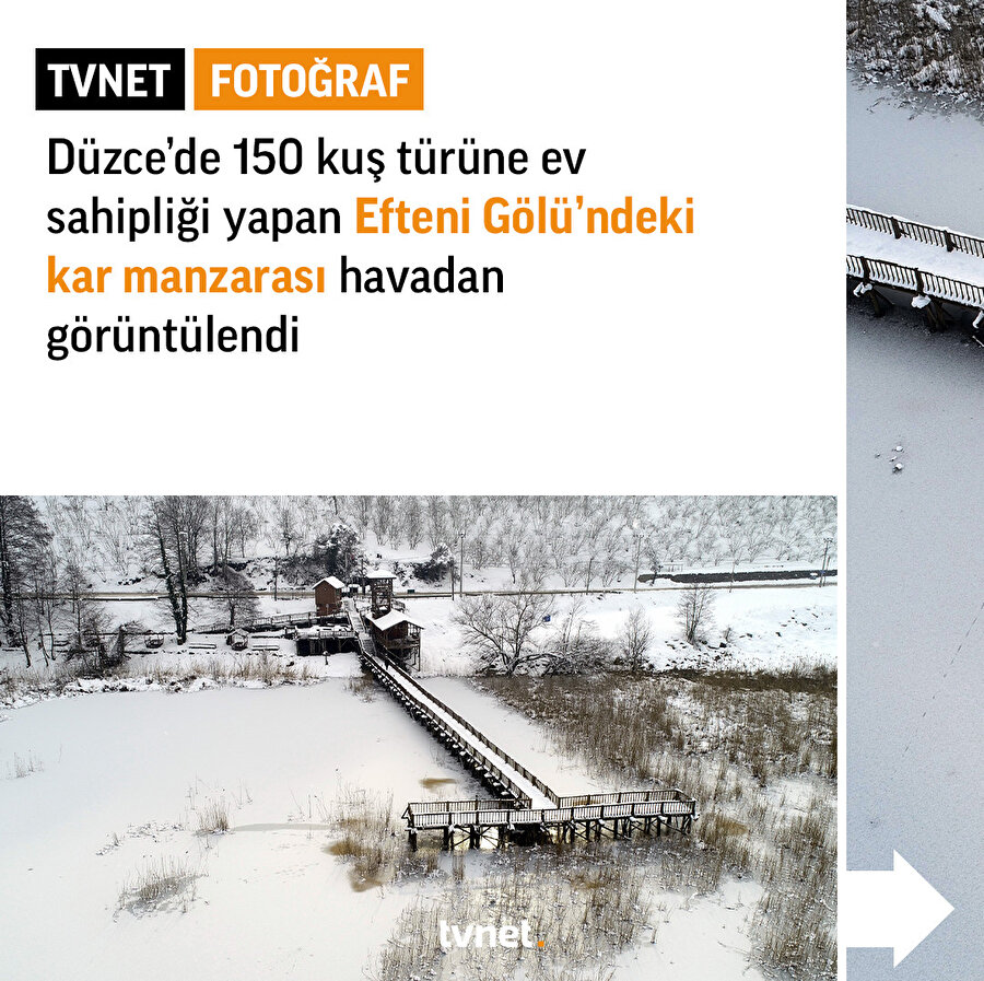 Efteni Gölü Kuş Cenneti'ndeki gölün yüzeyi buz tuttu