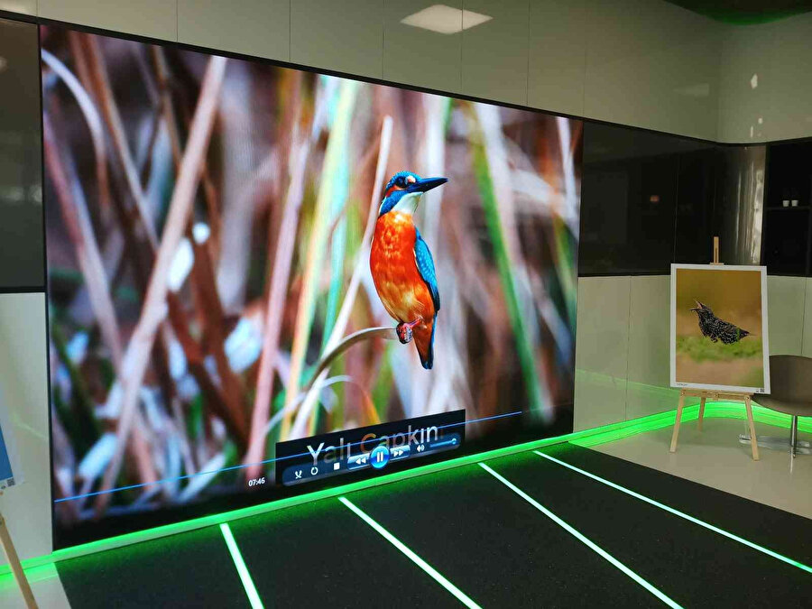 ‘Doğaya Kanat Açtık’ projesi kapsamında ​‘İstanbul Kuşları’ sergisi ​Galataport’ta sanatseverlerin ziyaretine açıldı.