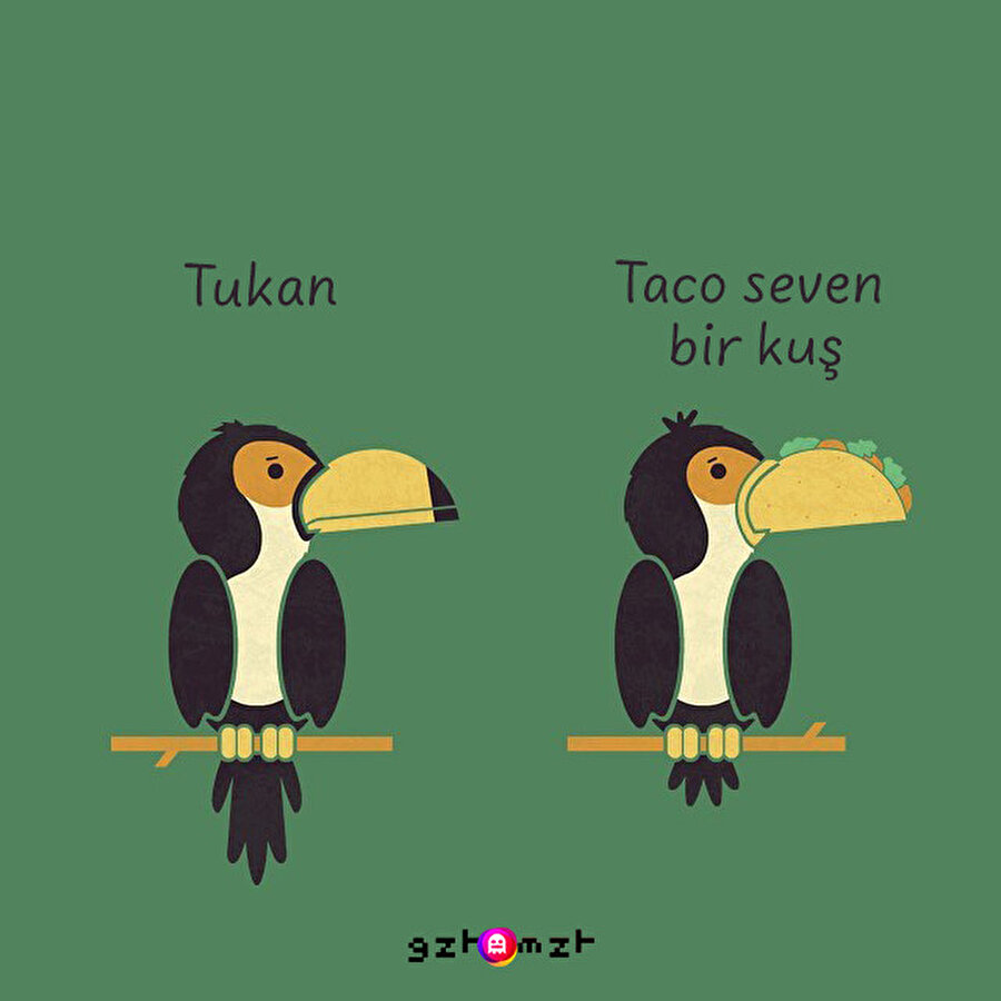 Kuşların gerçek yüzleri