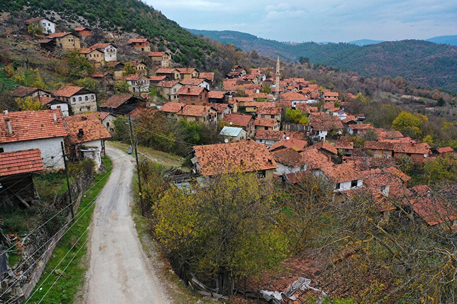 Arşiv