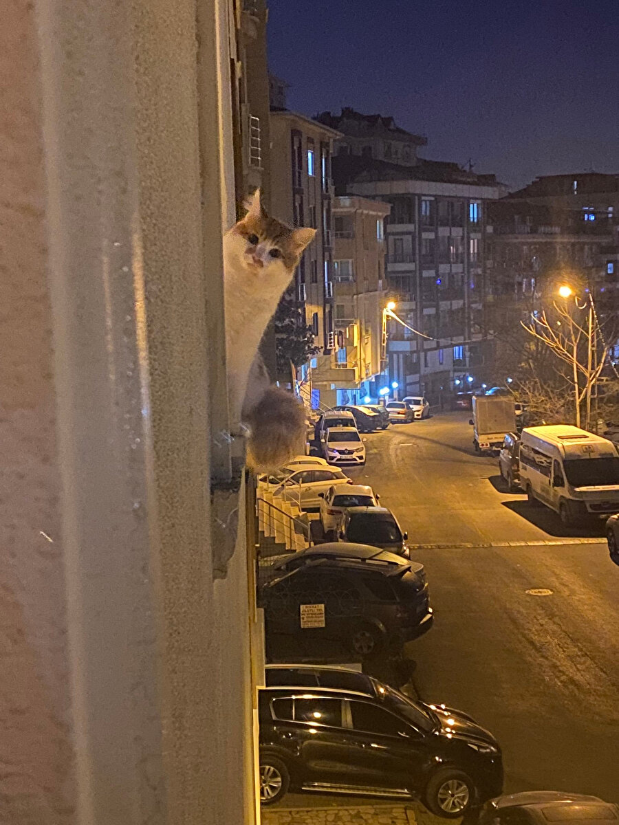 Sigara mı içiyorsun sen?