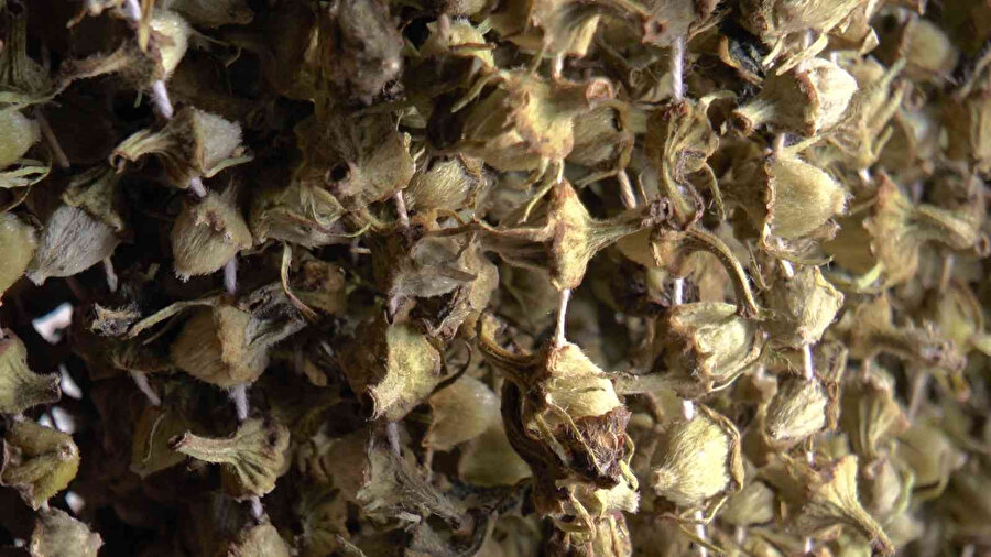 Gram altınla yarışıyor: Fiyatına rağmen talep var