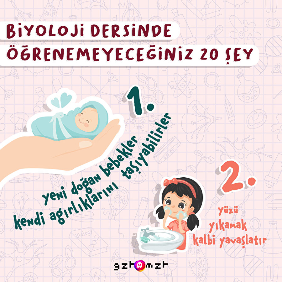 Biyoloji dersinde öğrenemeyeceğiniz 20 şey
