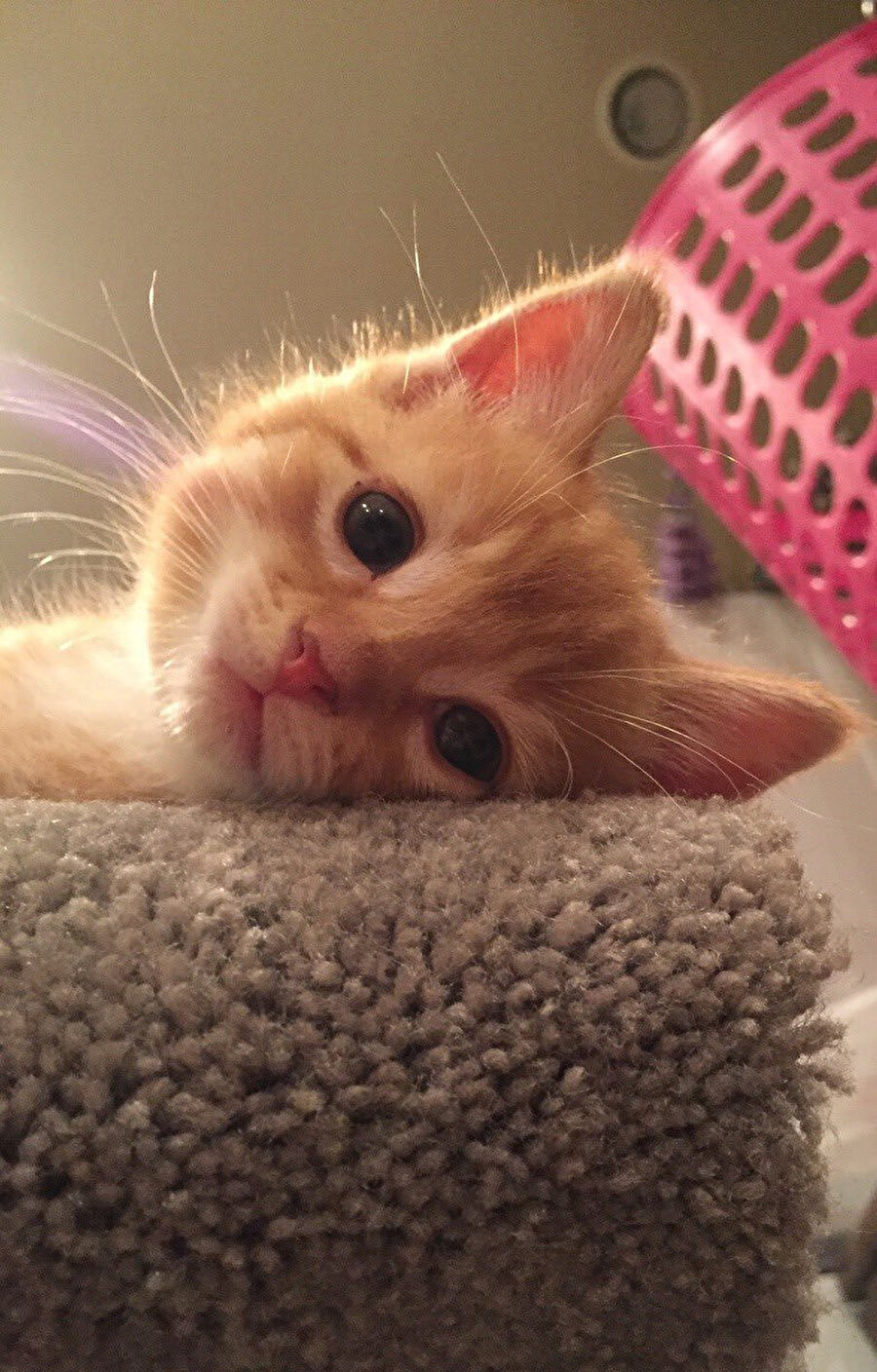 Her pazartesi böyle takılıyoruz