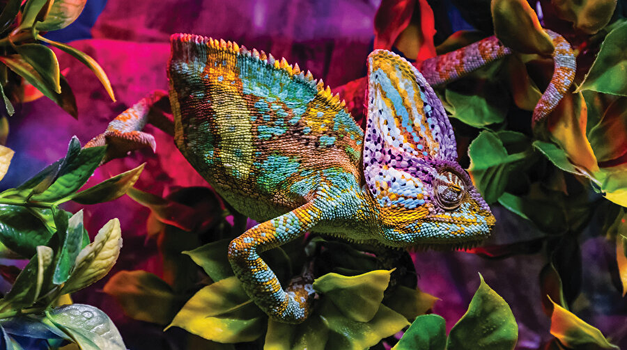 Belki de bu sorunun büyümesinin sebeplerinden birisi de soruna verilen isimdir.