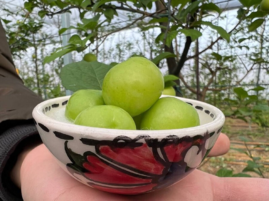 Kilosu 2 bin lira olan papaz eriği Arap şeyhlerinin gözdesi