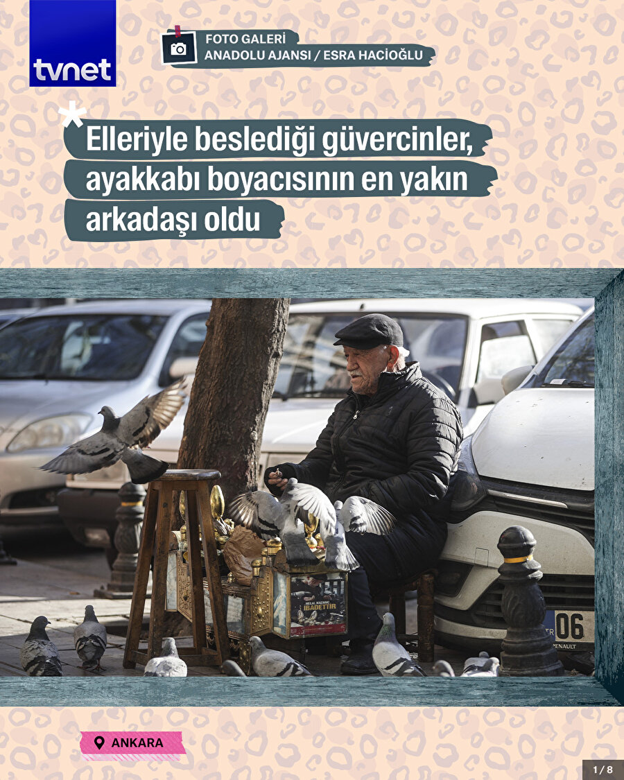 Yusuf Amca'nın her gün beslediği güvercinler, en sadık dostları oldu