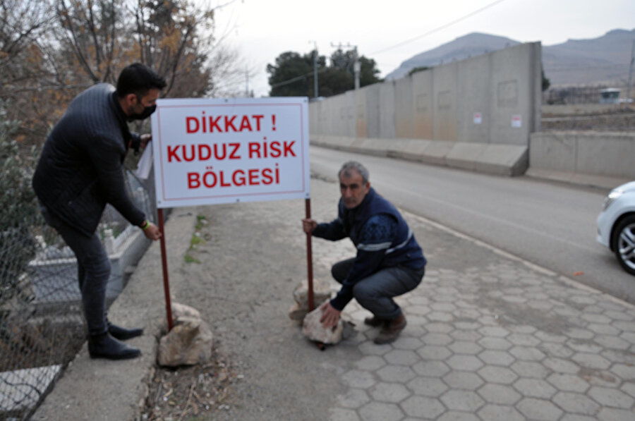 Derik’te 4'ü çocuk 7 kişiyi ısıran sokak köpeği kuduz çıktı; mahalle karantinaya alındı  