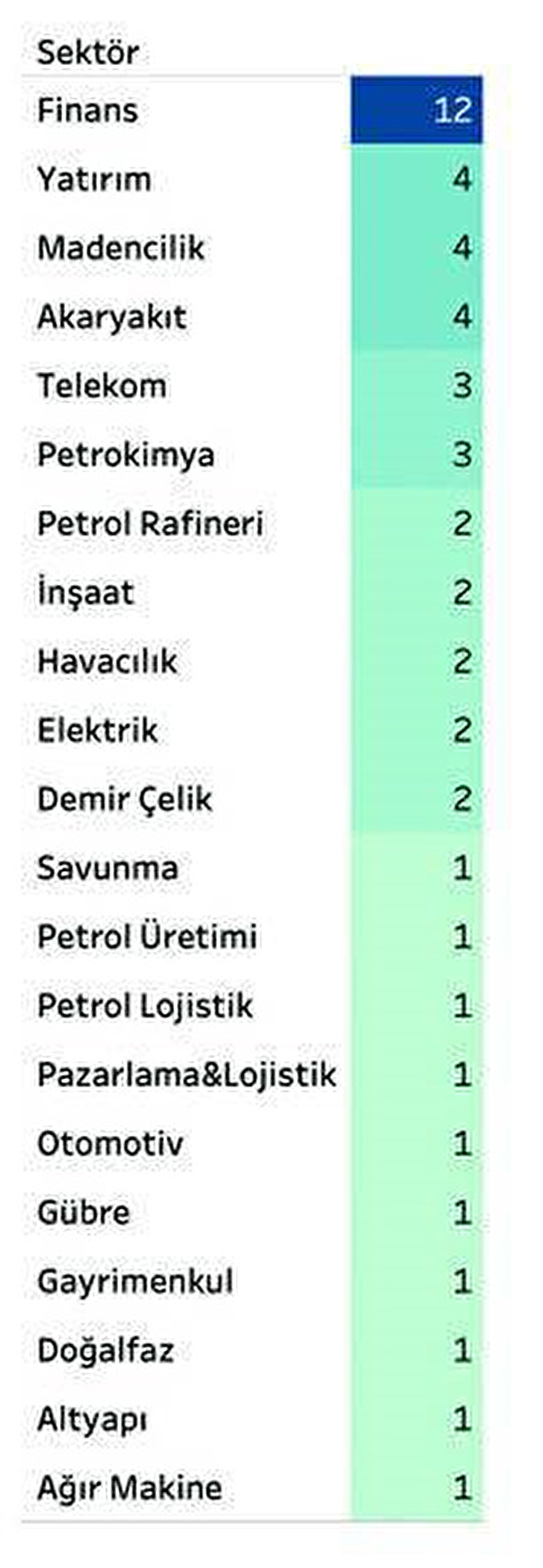 En hızlı büyüyen 50 listesinin sektörlere göre dağılımı.