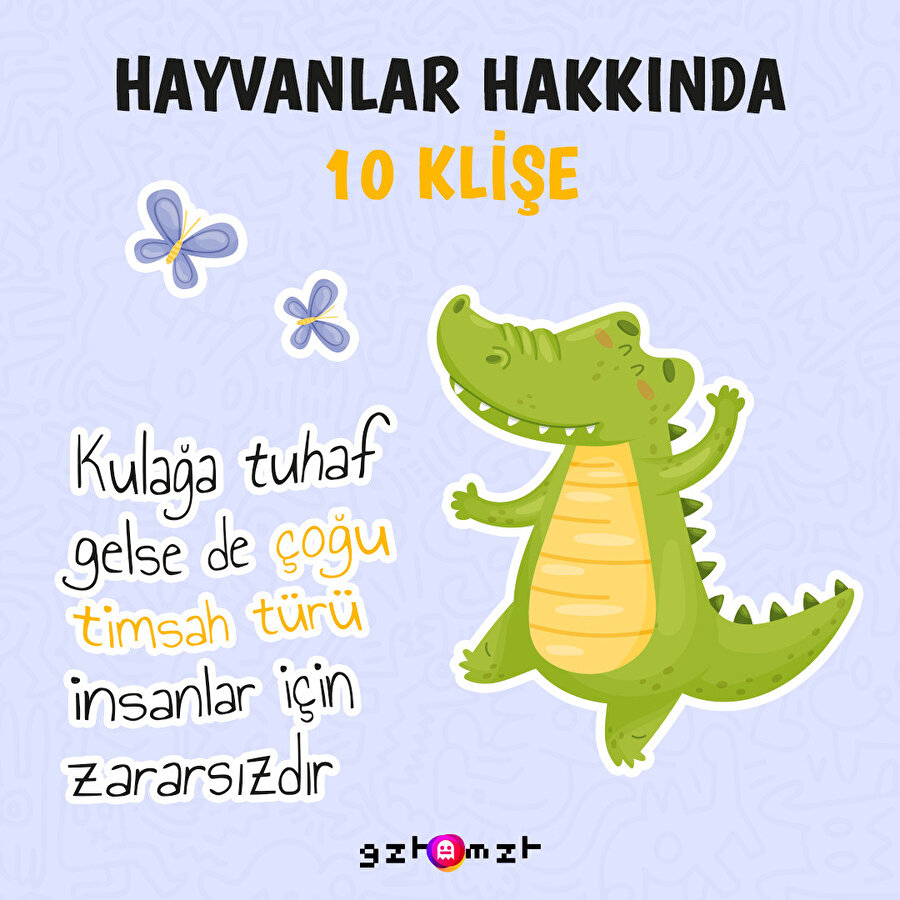 Hayvanlar hakkında 10 klişe