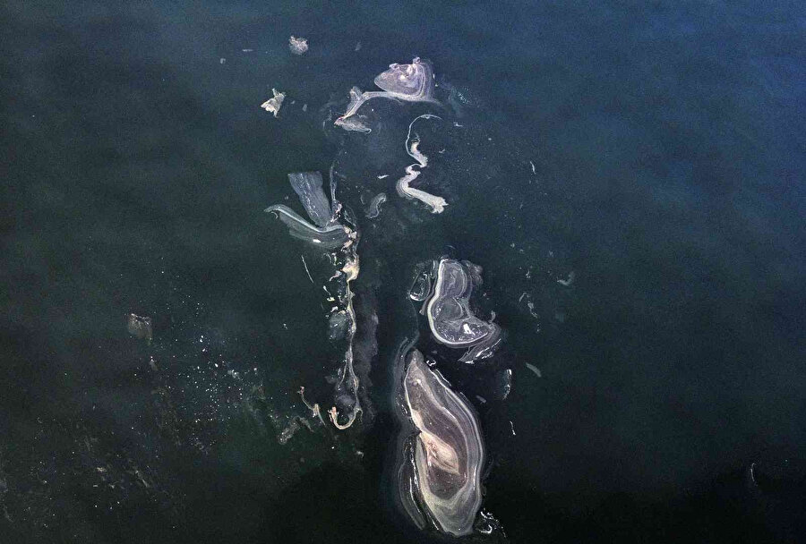 İstanbul’un kabusu müsilaj geri döndü