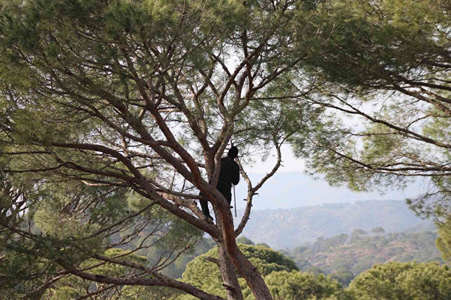 Komando gibi ekmek parası için tırmanıyorlar: Günlük 400 lira kazanıyorlar