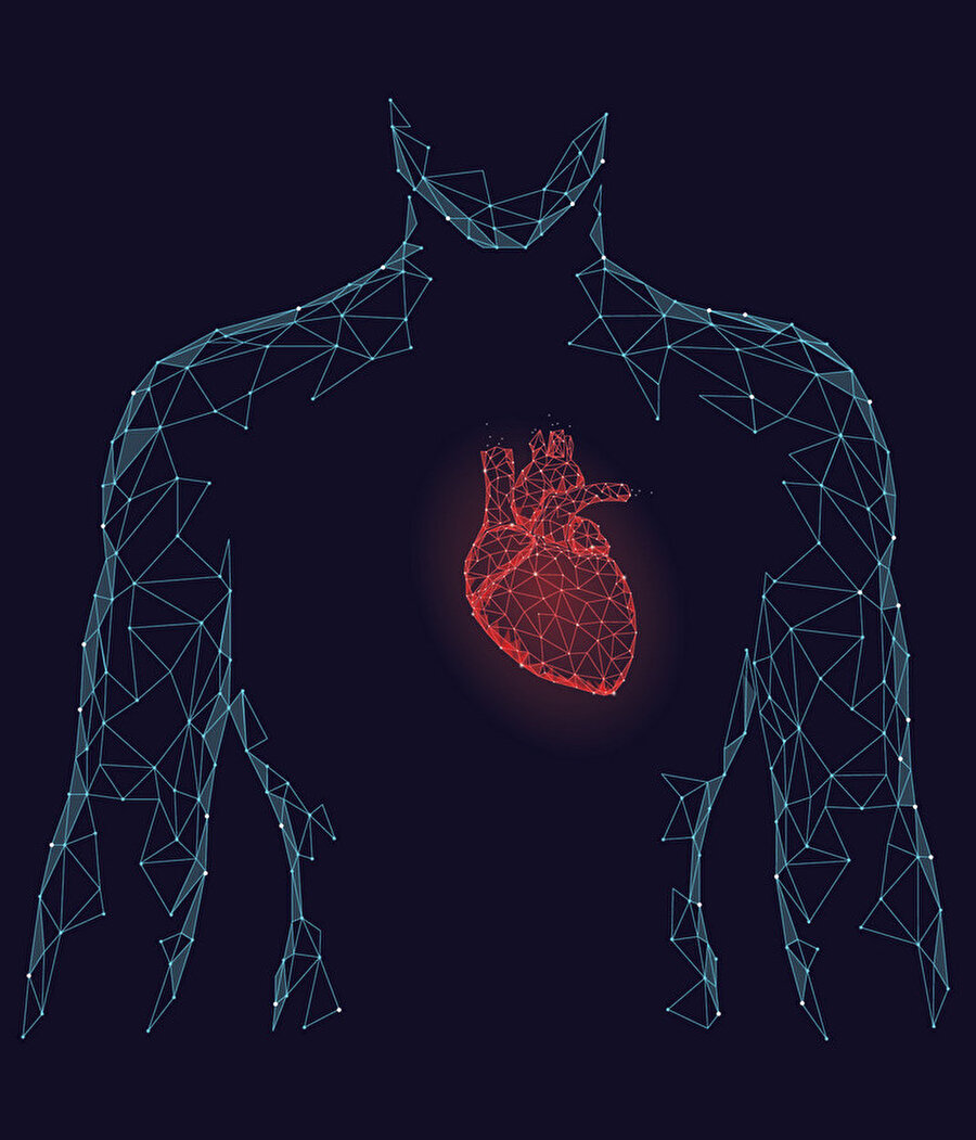 ​Organ naklinde tarihi bir buluş gerçekleştirildi.