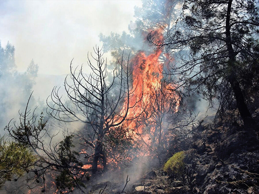Kutuplardaki iklim şartlarına uygun bir şekilde, donarak şekillenmiş toprak son yıllarda küresel sıcaklıklardaki artışla çözünmeye başladı..